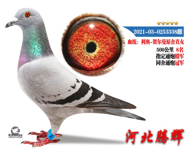 δ