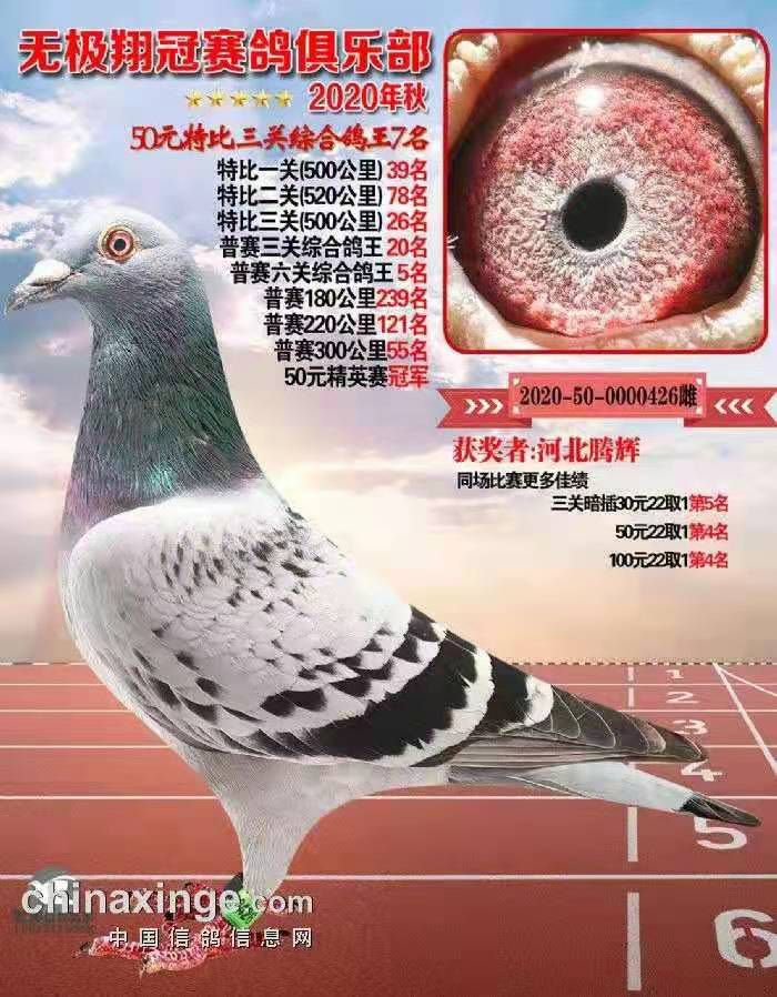 δ