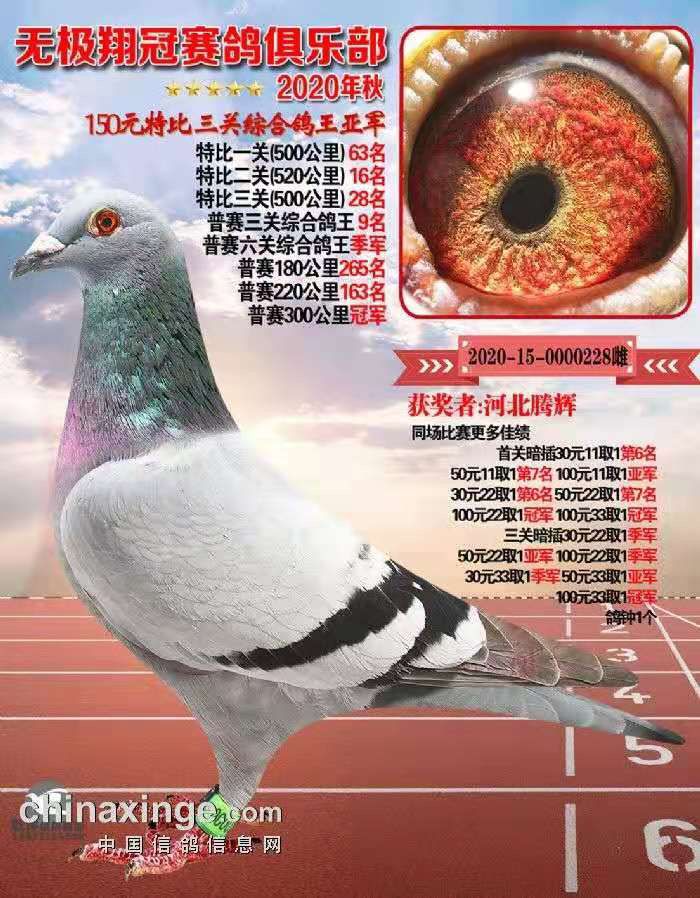 δ