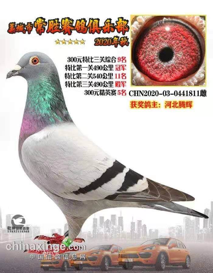 δ