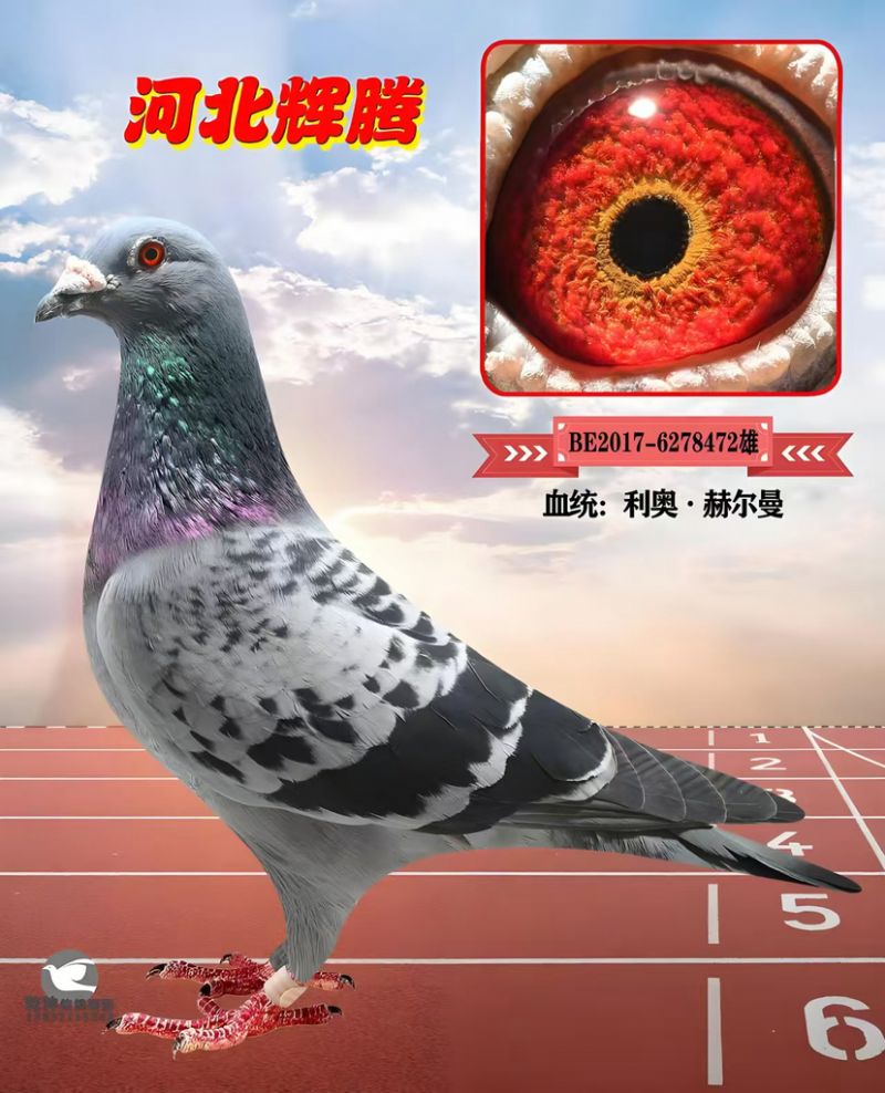 δ