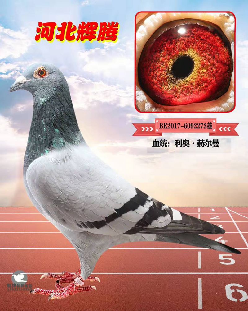 δ