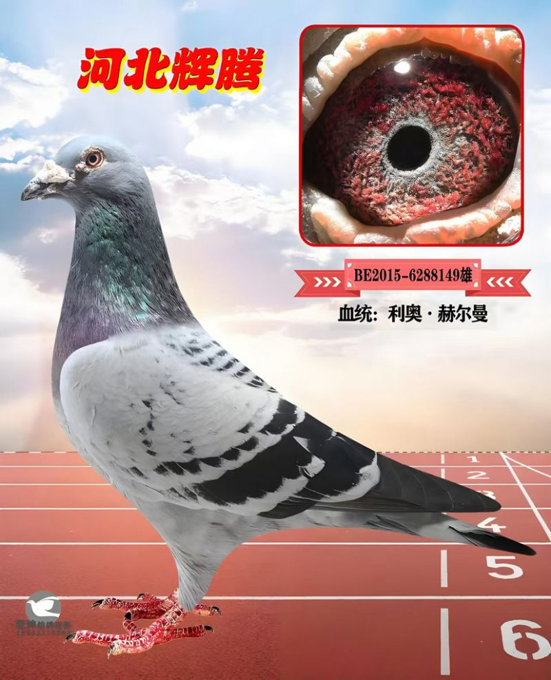 δ