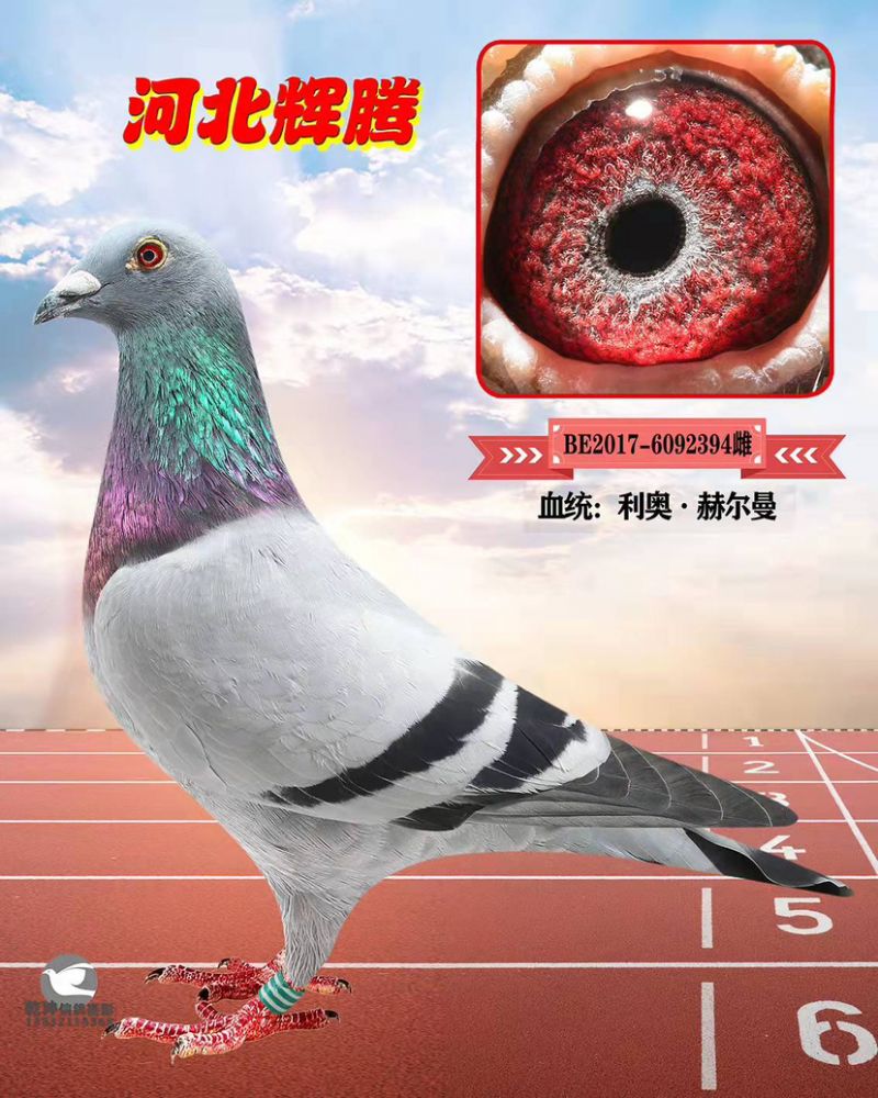 δ