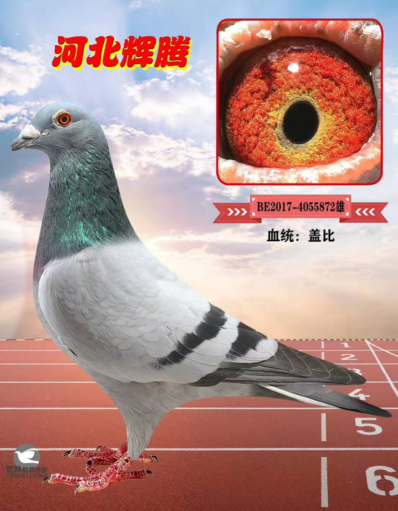 δ