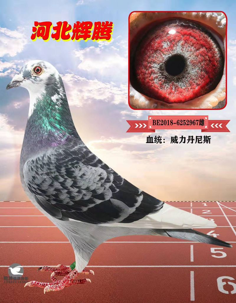 δ
