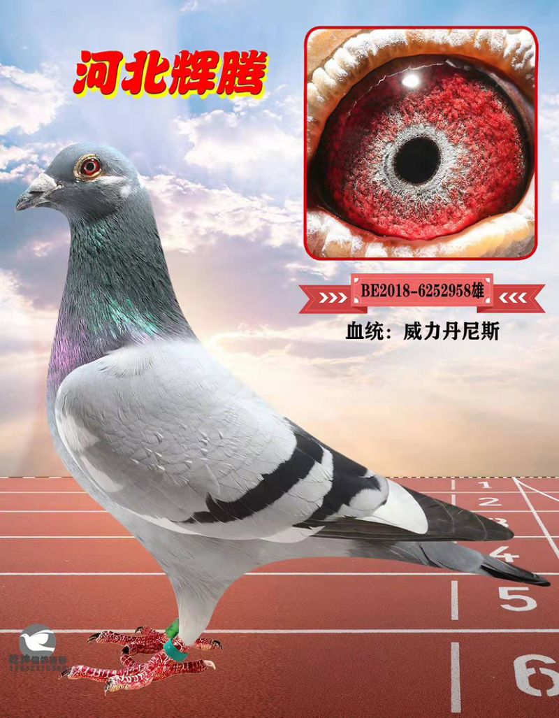 δ