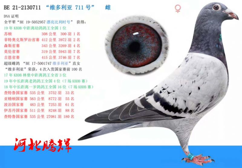 δ