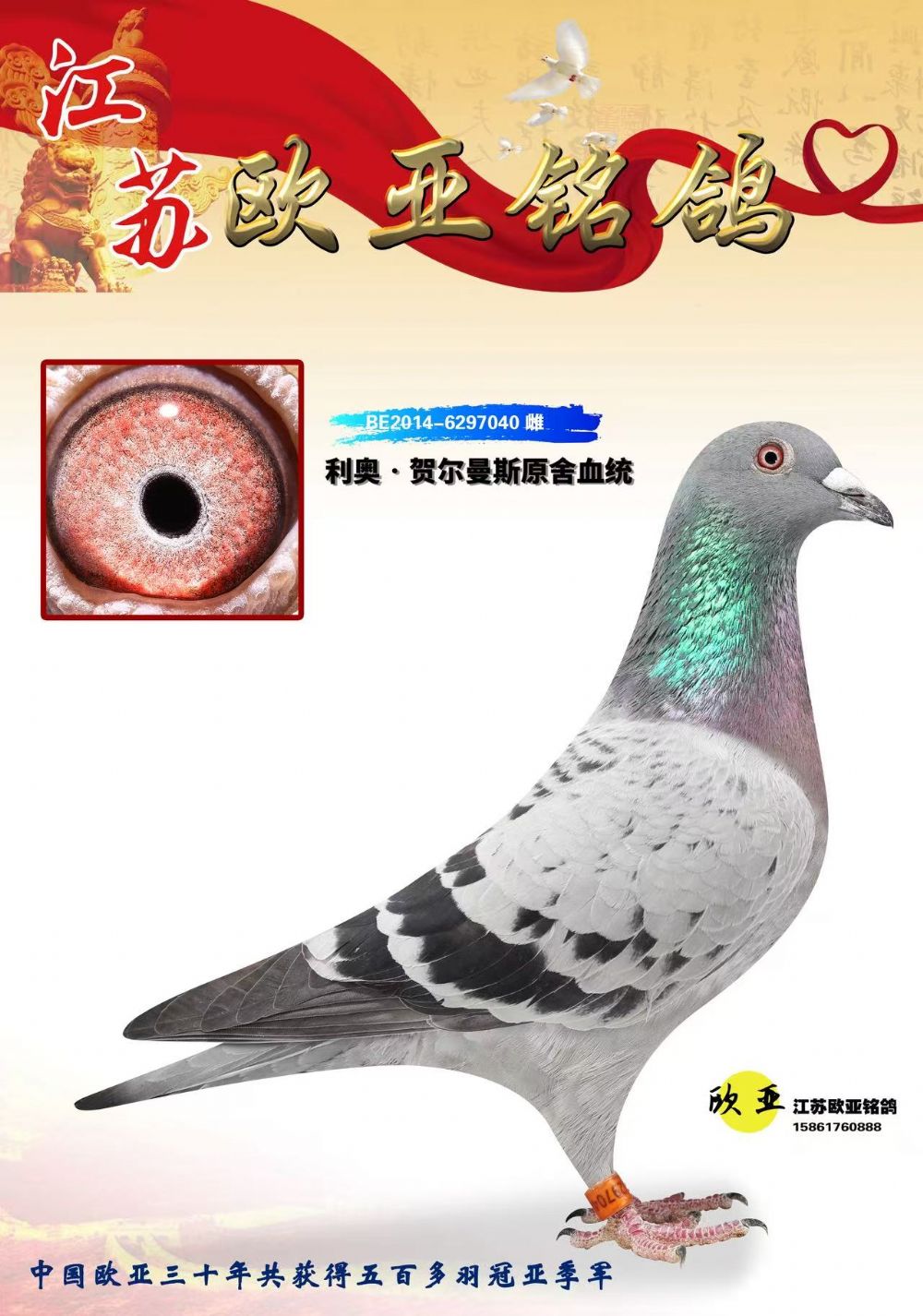 BE14-6297040  ��