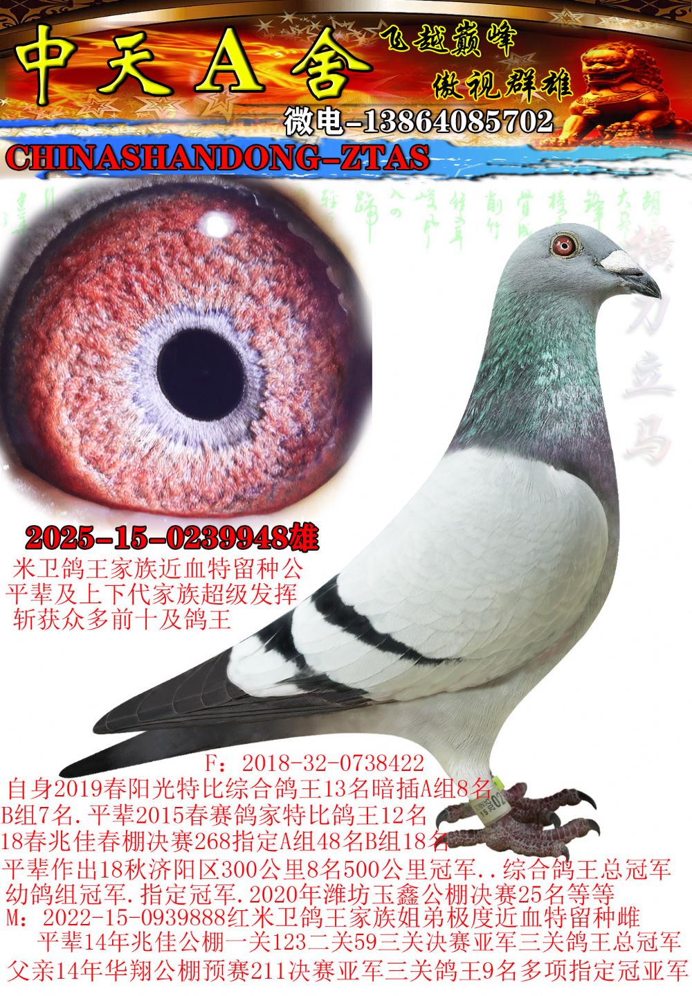 2025Ѫ.