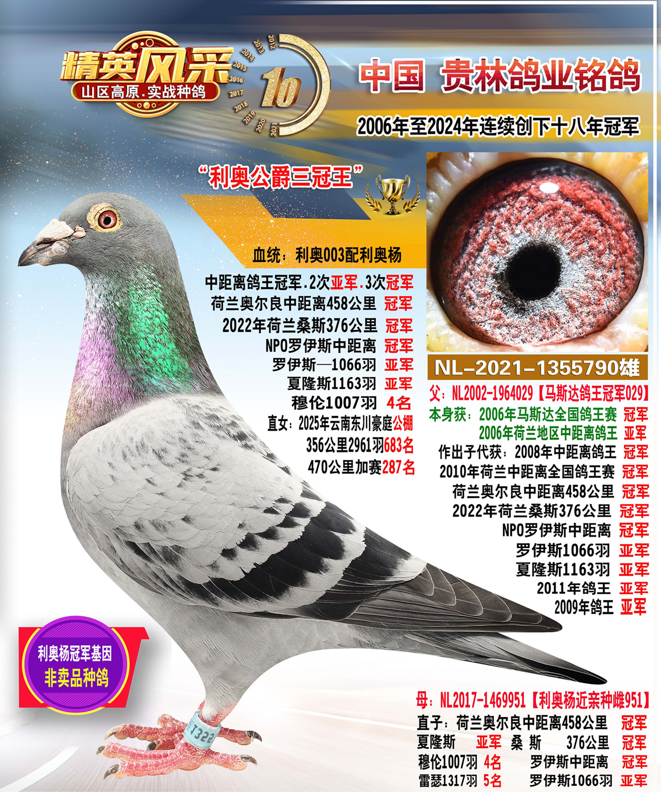 ����2���Ǿ�.3�ιھ�