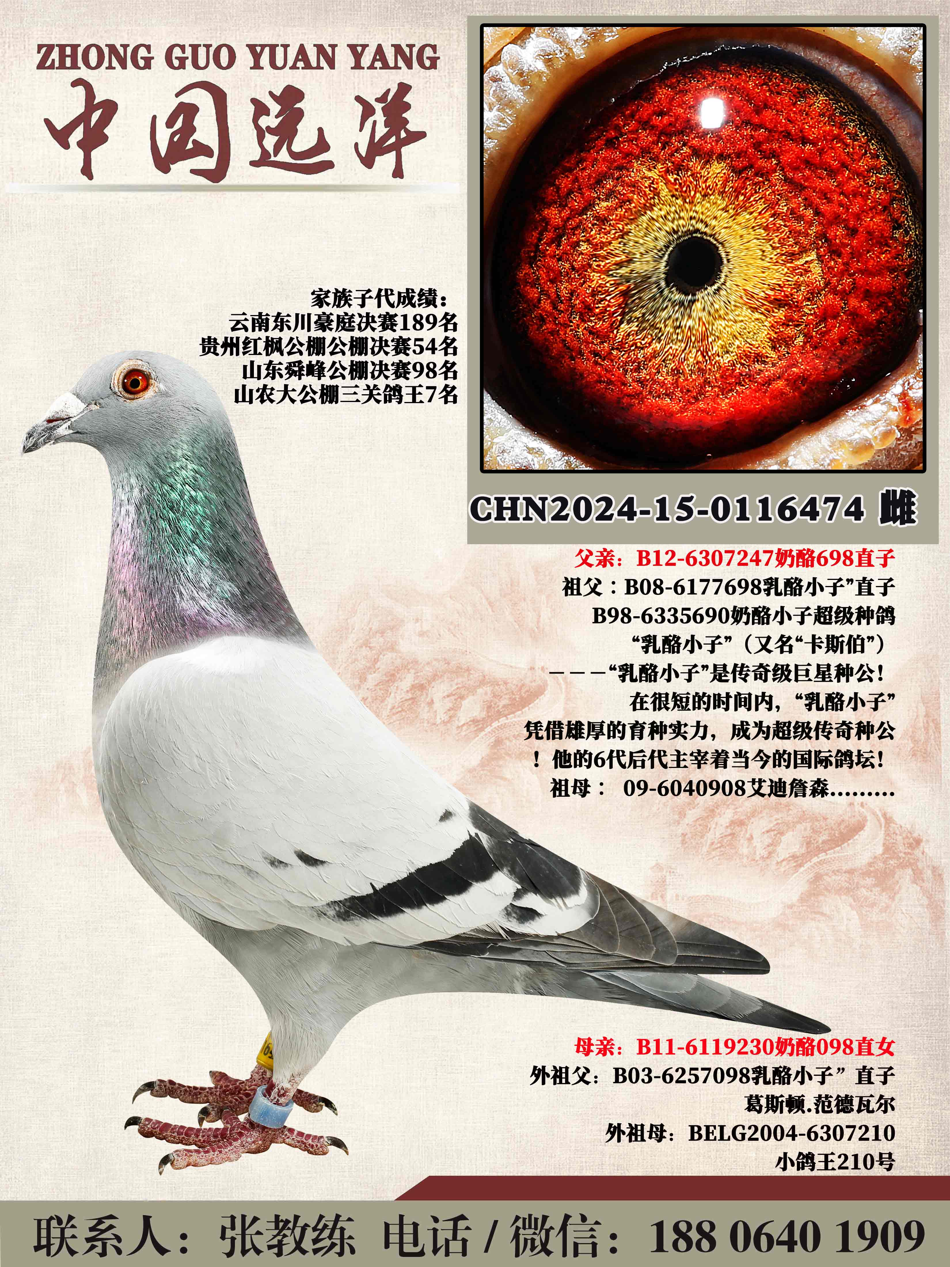 겻ɼ