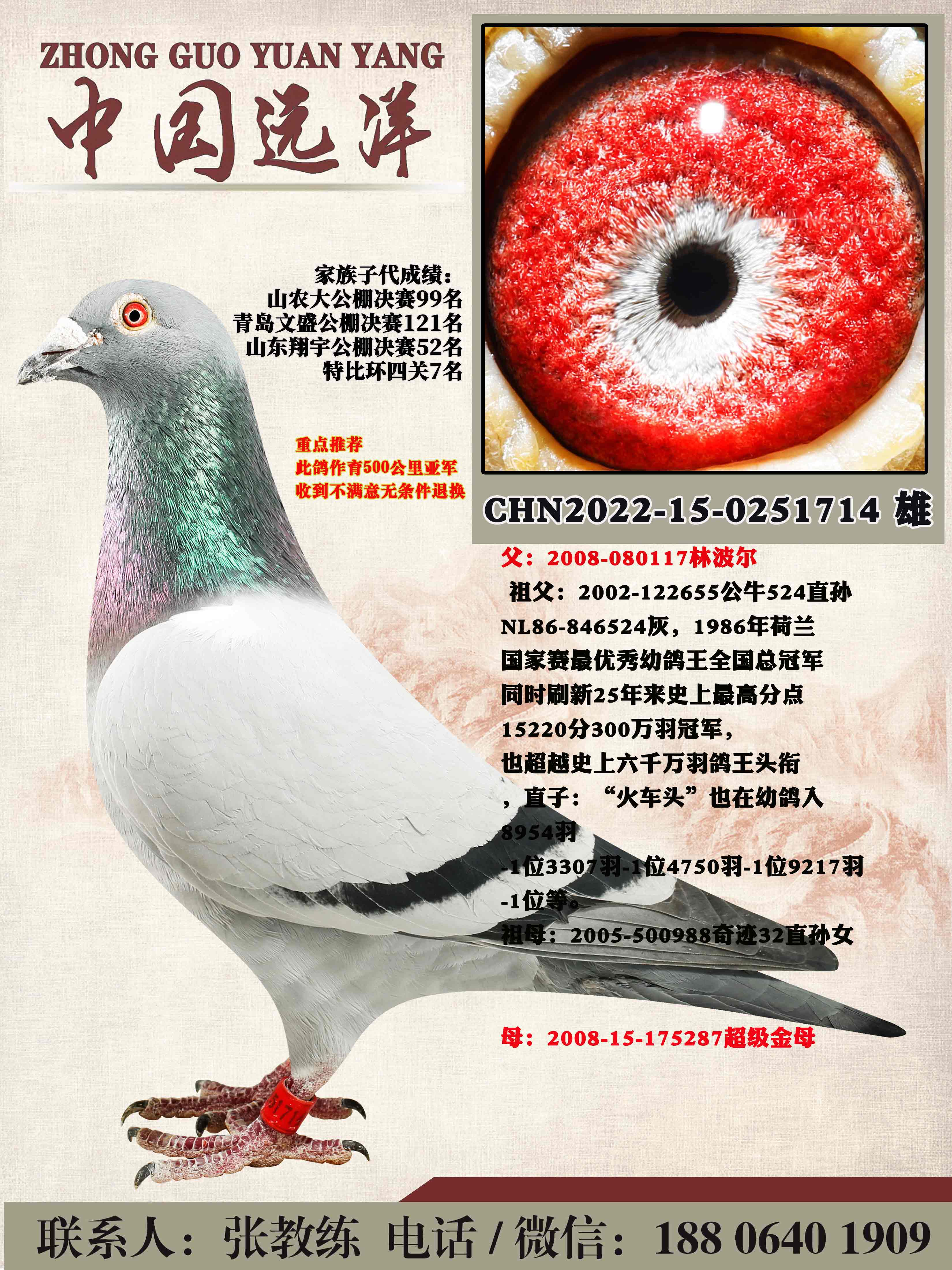 겻ɼ