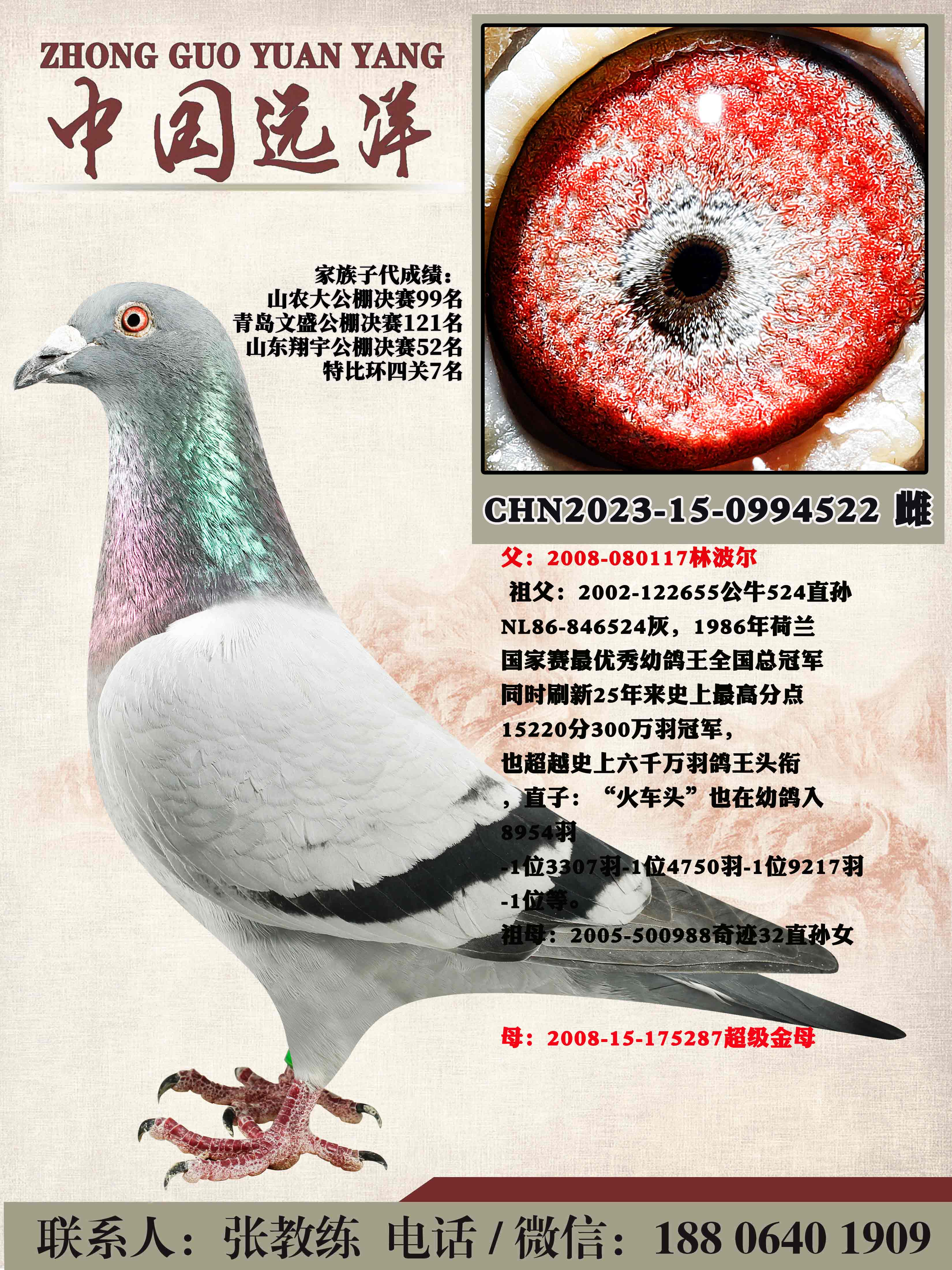 겻ɼ