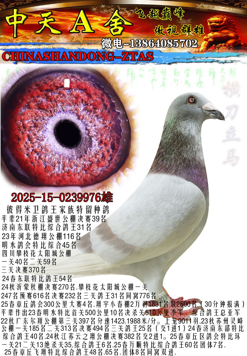 2025