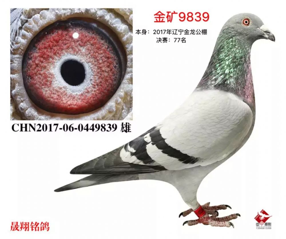 777