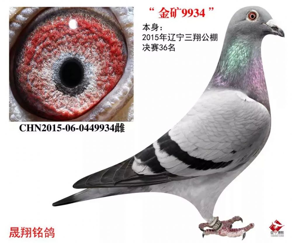 蹫.36