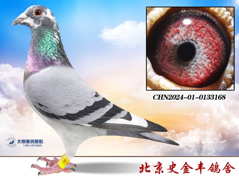 Ӣ˹178׻Ѫ