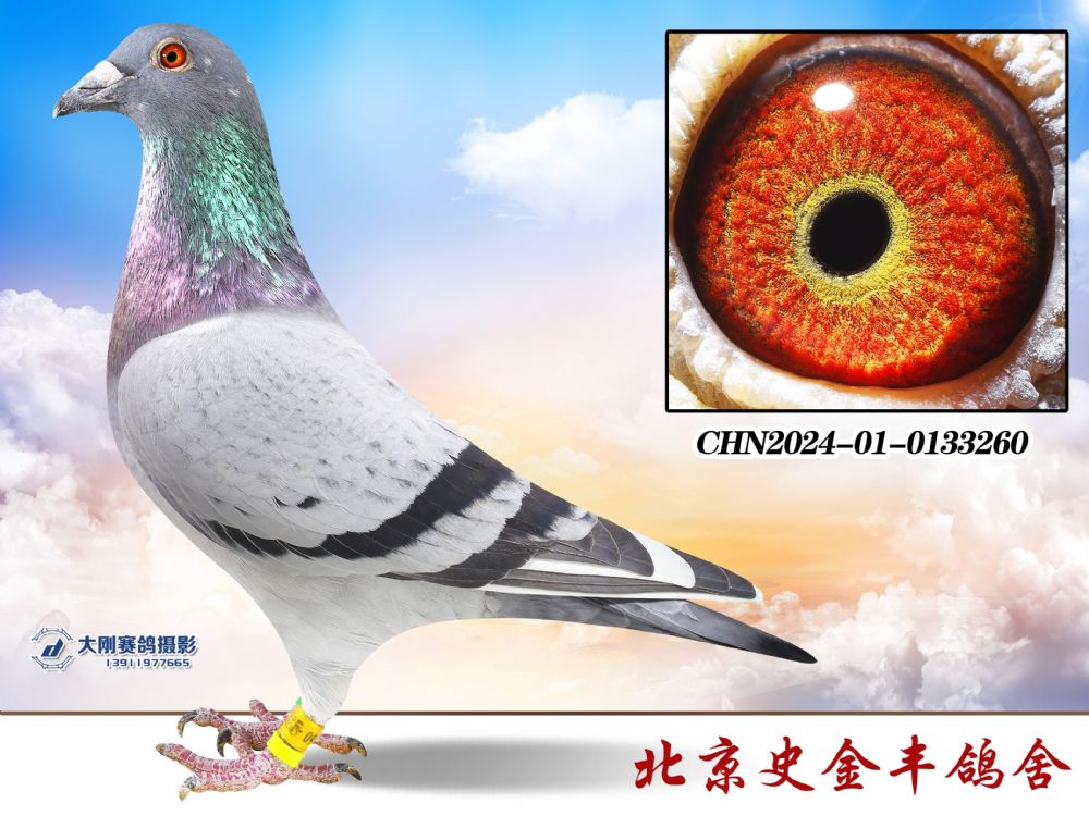 Ӣ˹178׻Ѫ