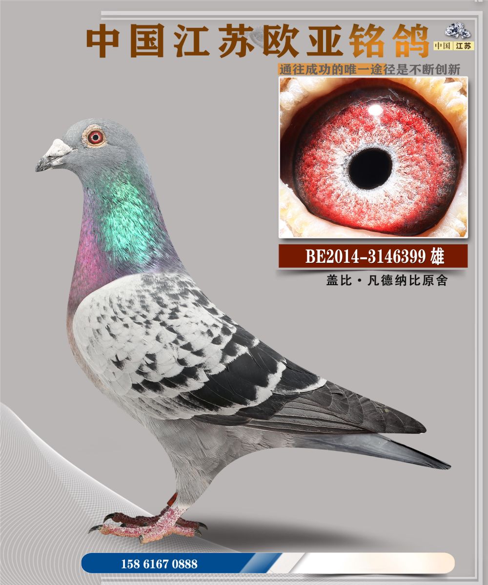 ŷ��12-10-3146399_��