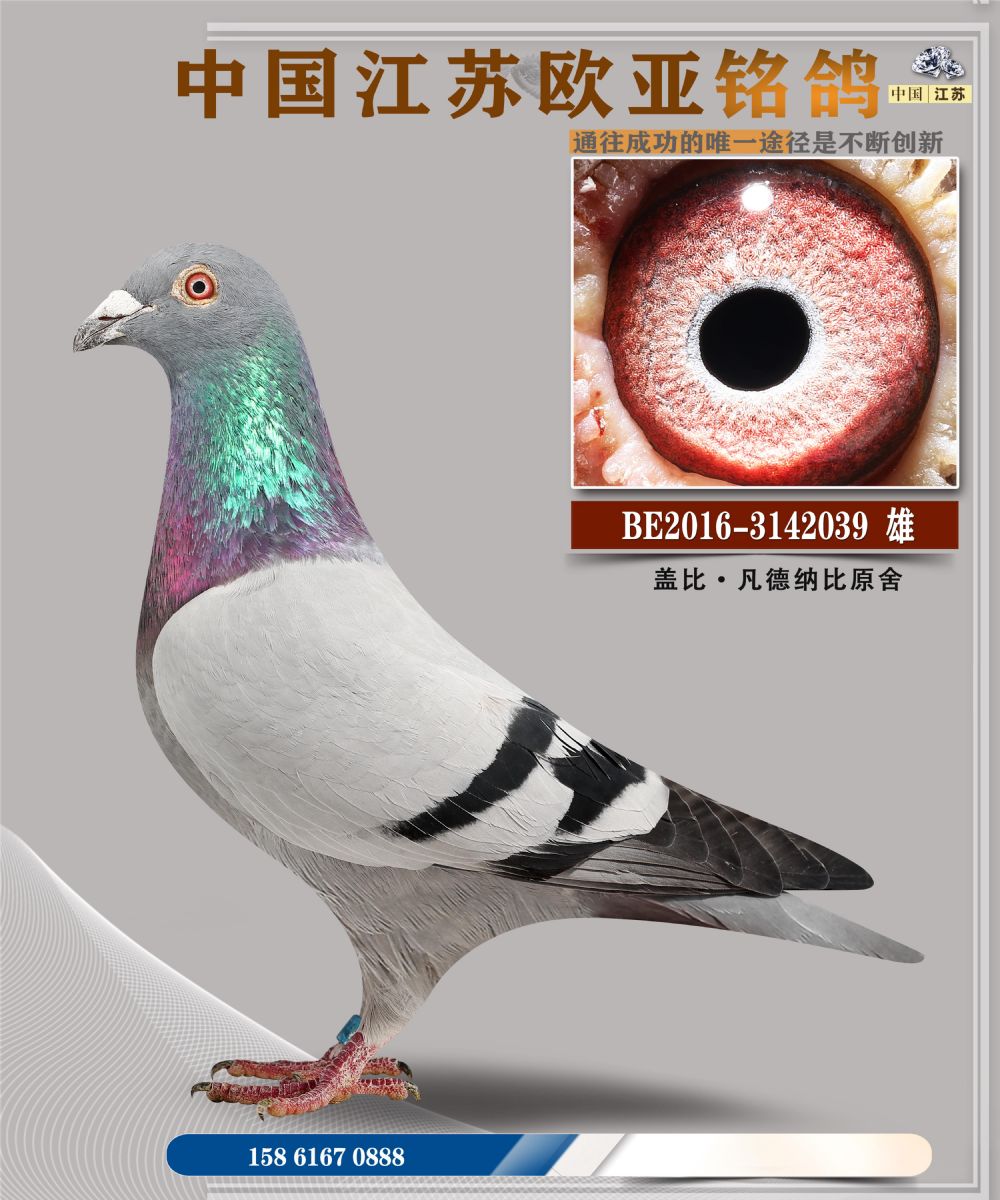 ŷ13-23-3142039.jpg_