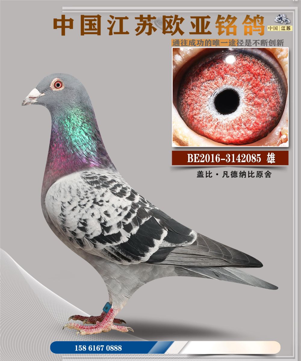 ŷ13-20-3142085.jpg_