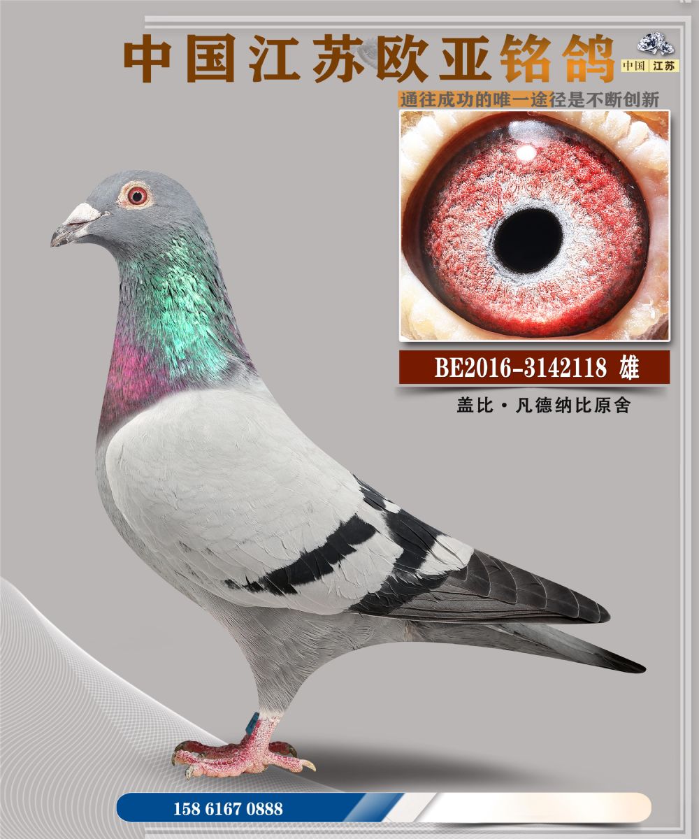 ŷ14-11-3142118.jpg_