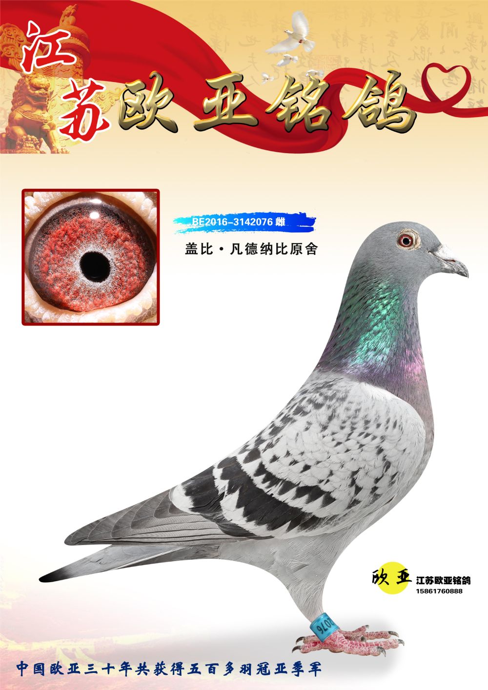 ŷ3-5-BE2016-3142076.jpg_