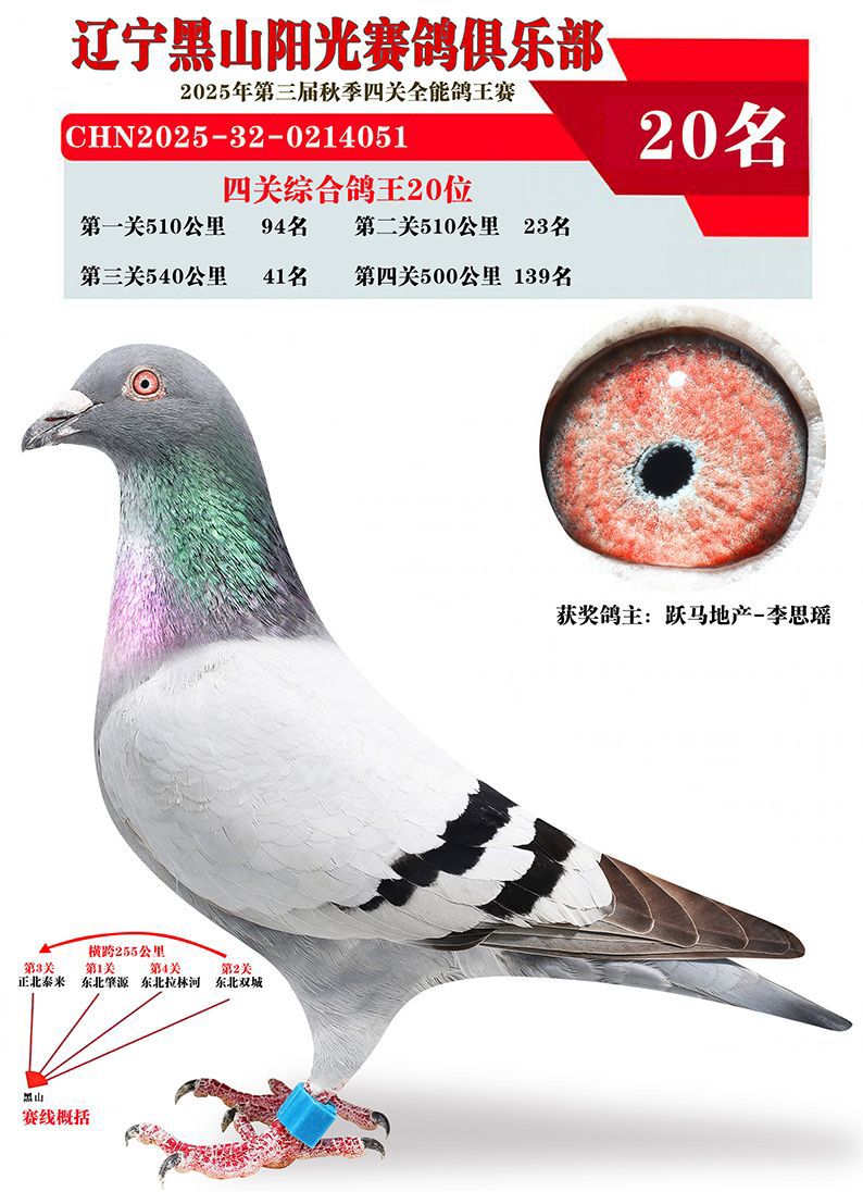 δ