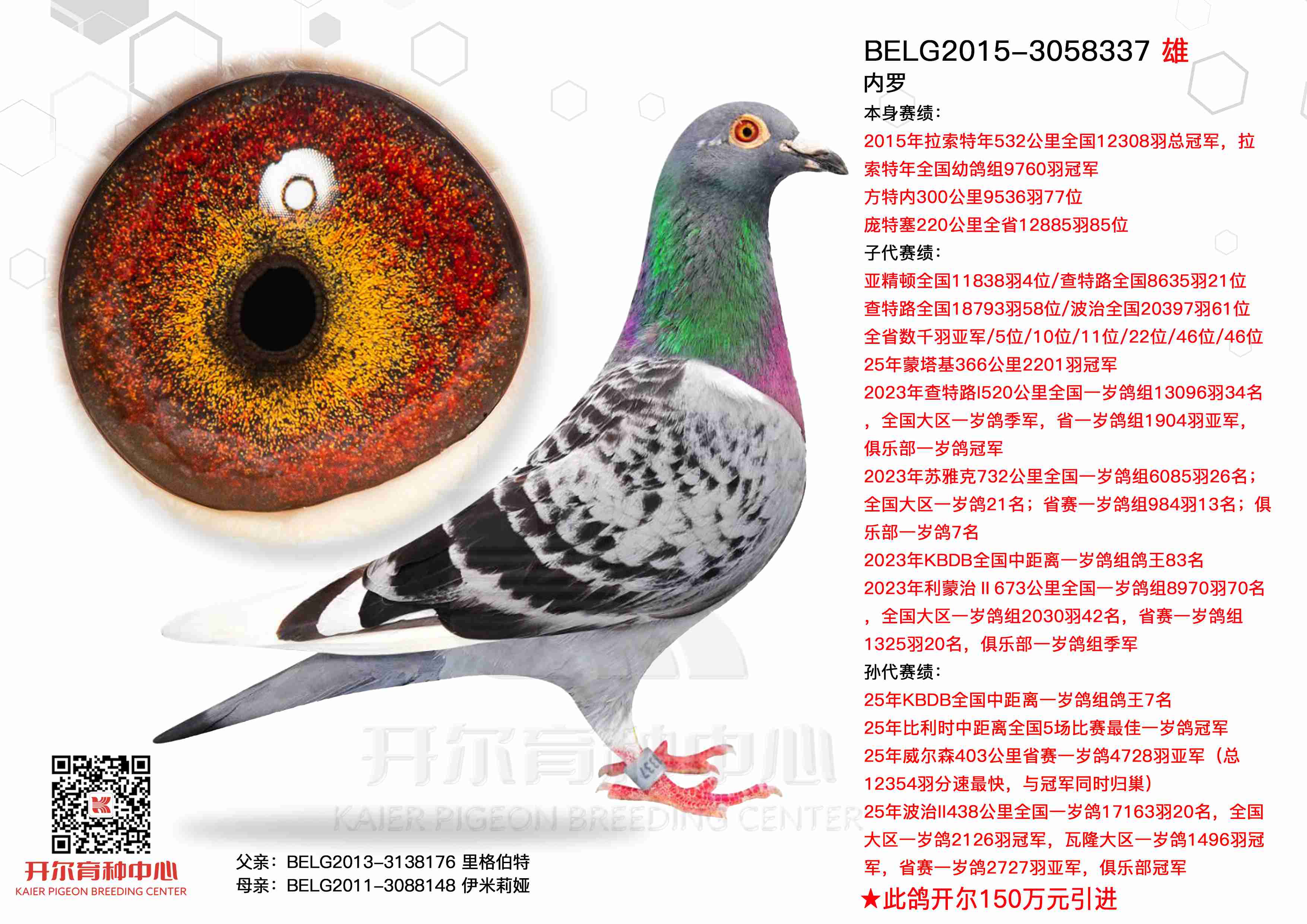ޣ15532ȫܹھ