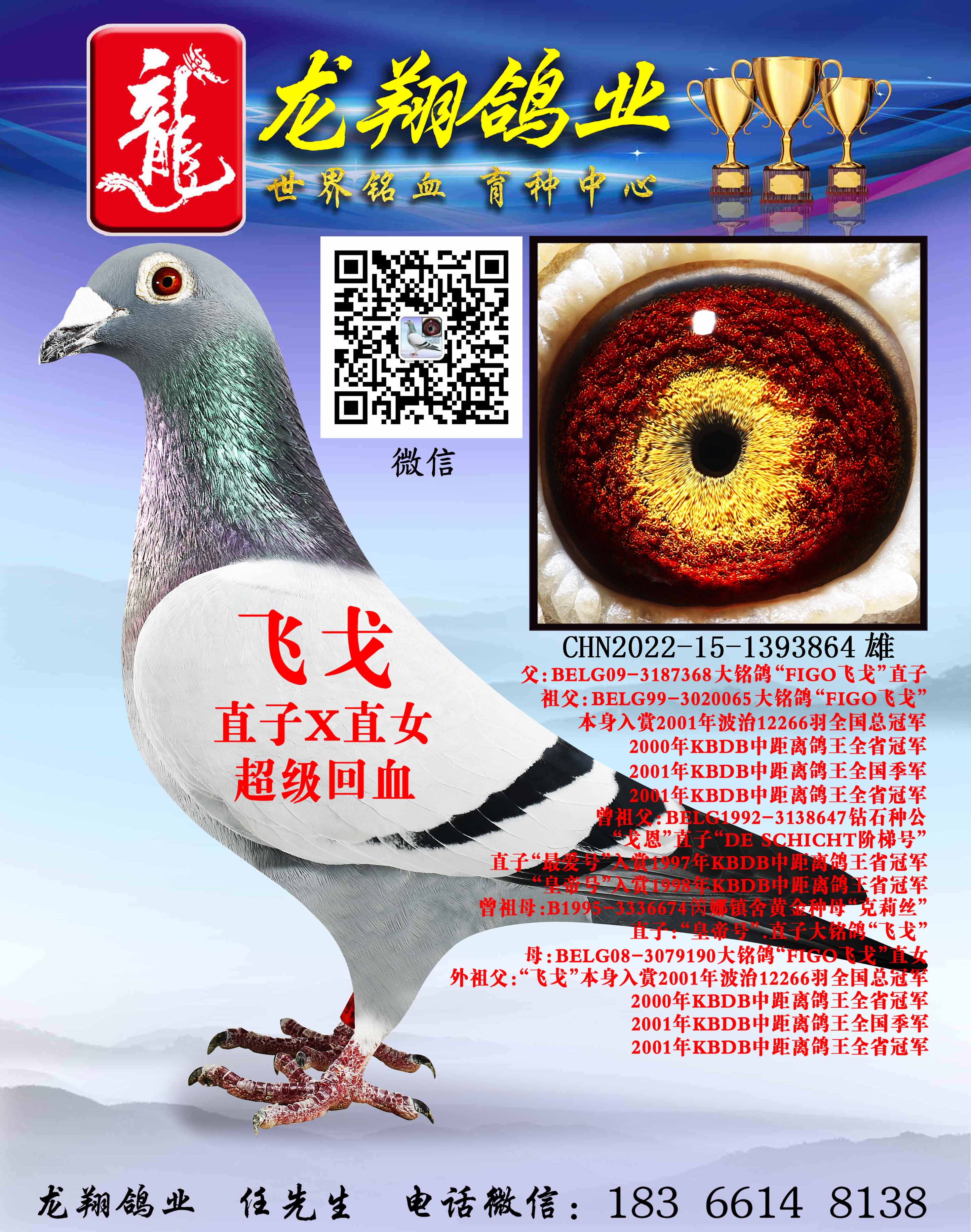 ɸꡱֱ