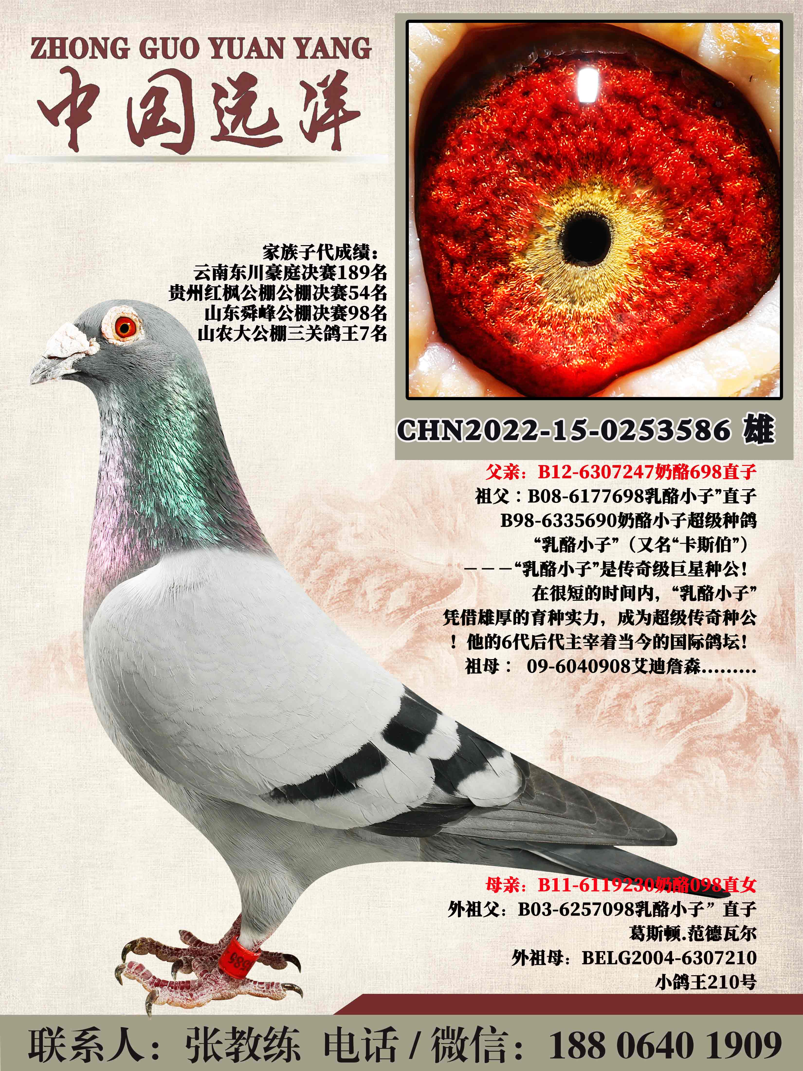 겻ɼ