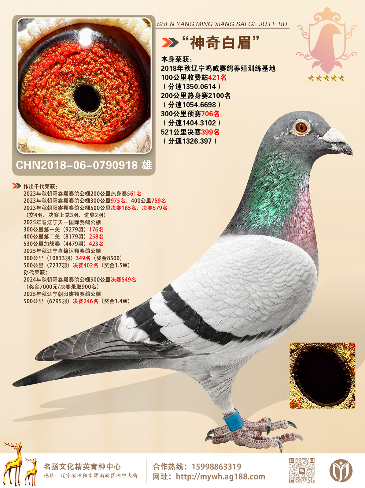 �������ü�������������빫�����399��