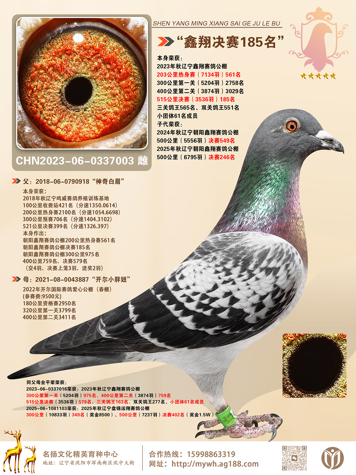 2023�����������蹫�����185��