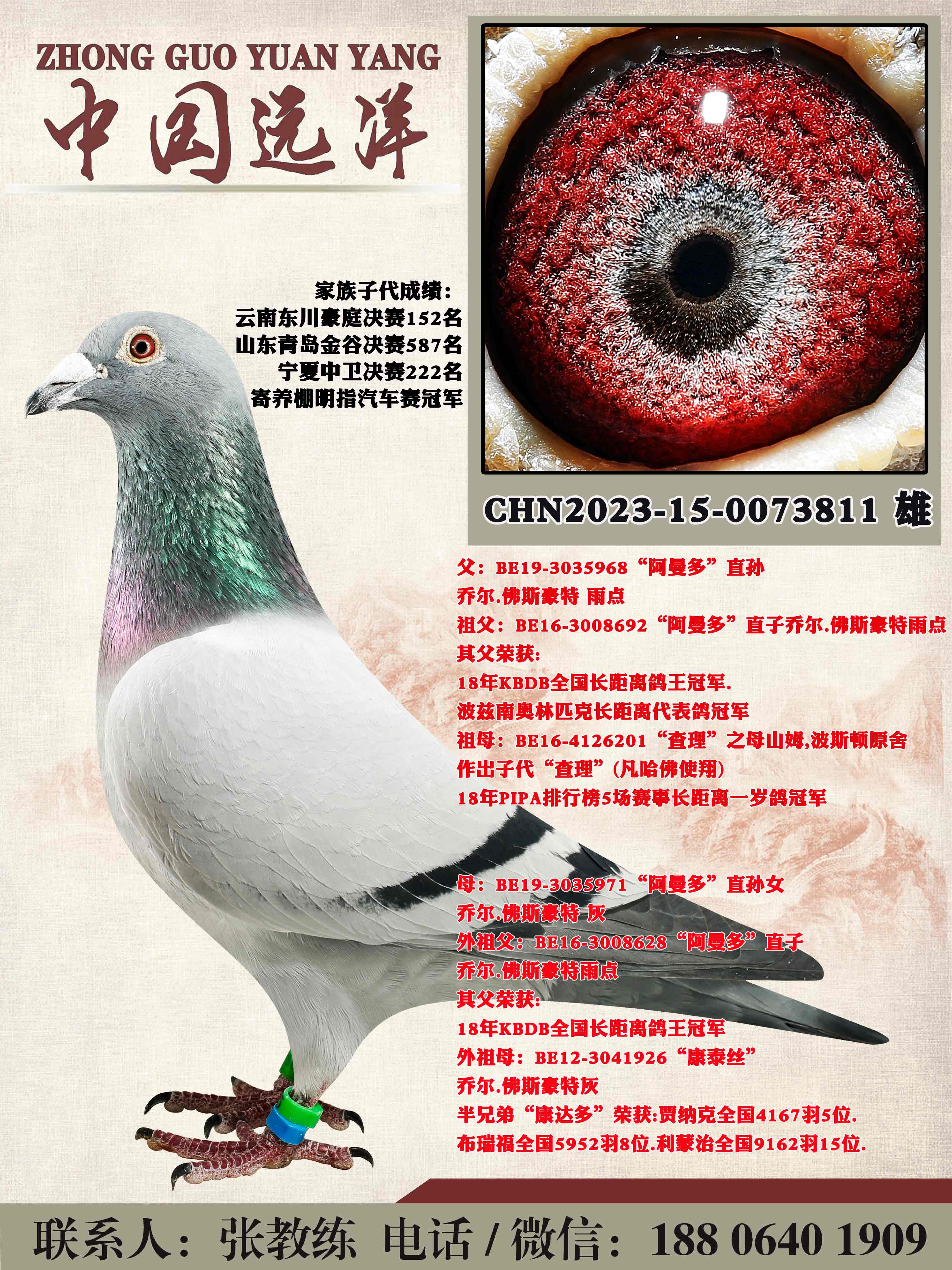 겻ɼ