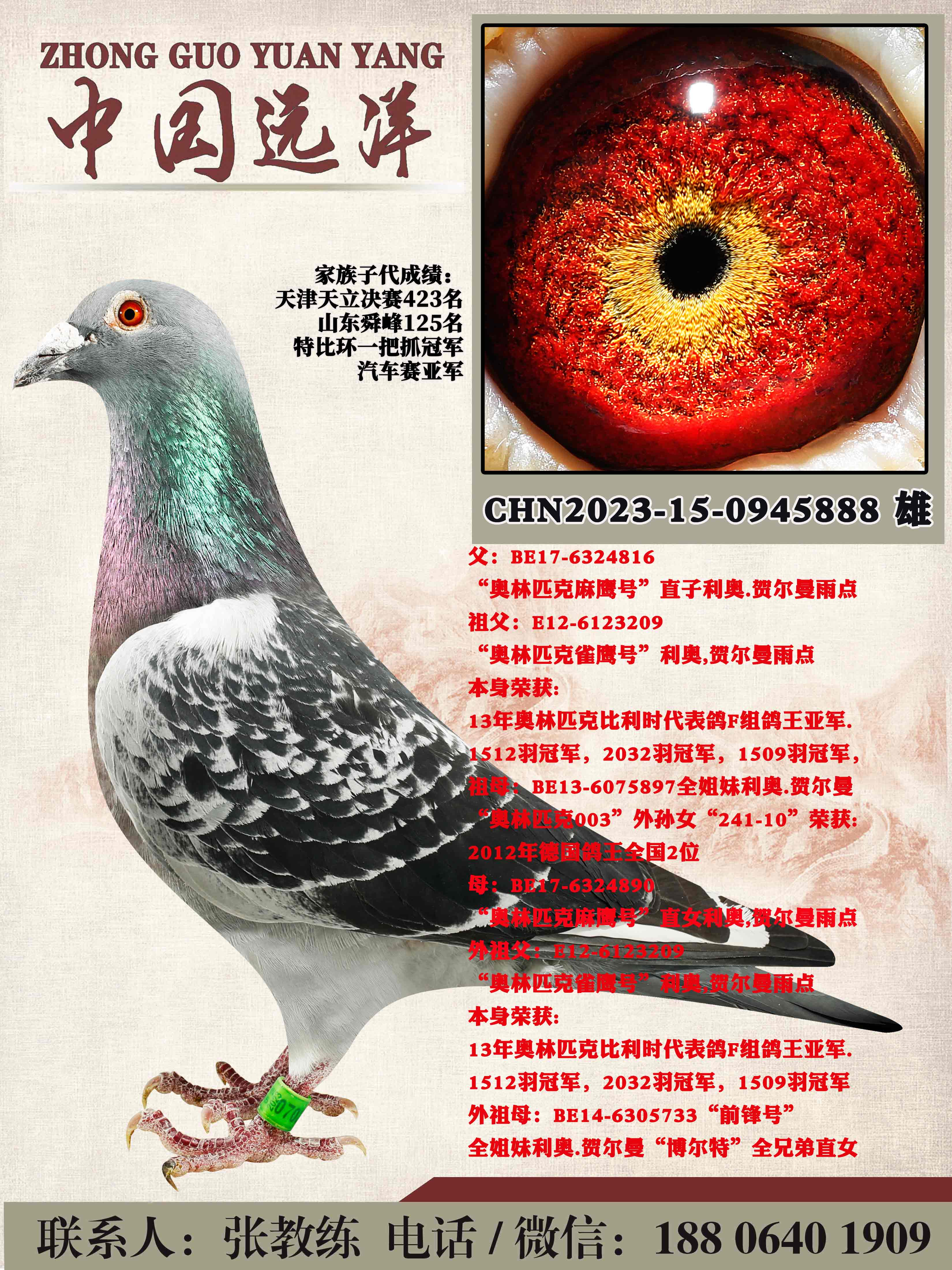 겻ɼ