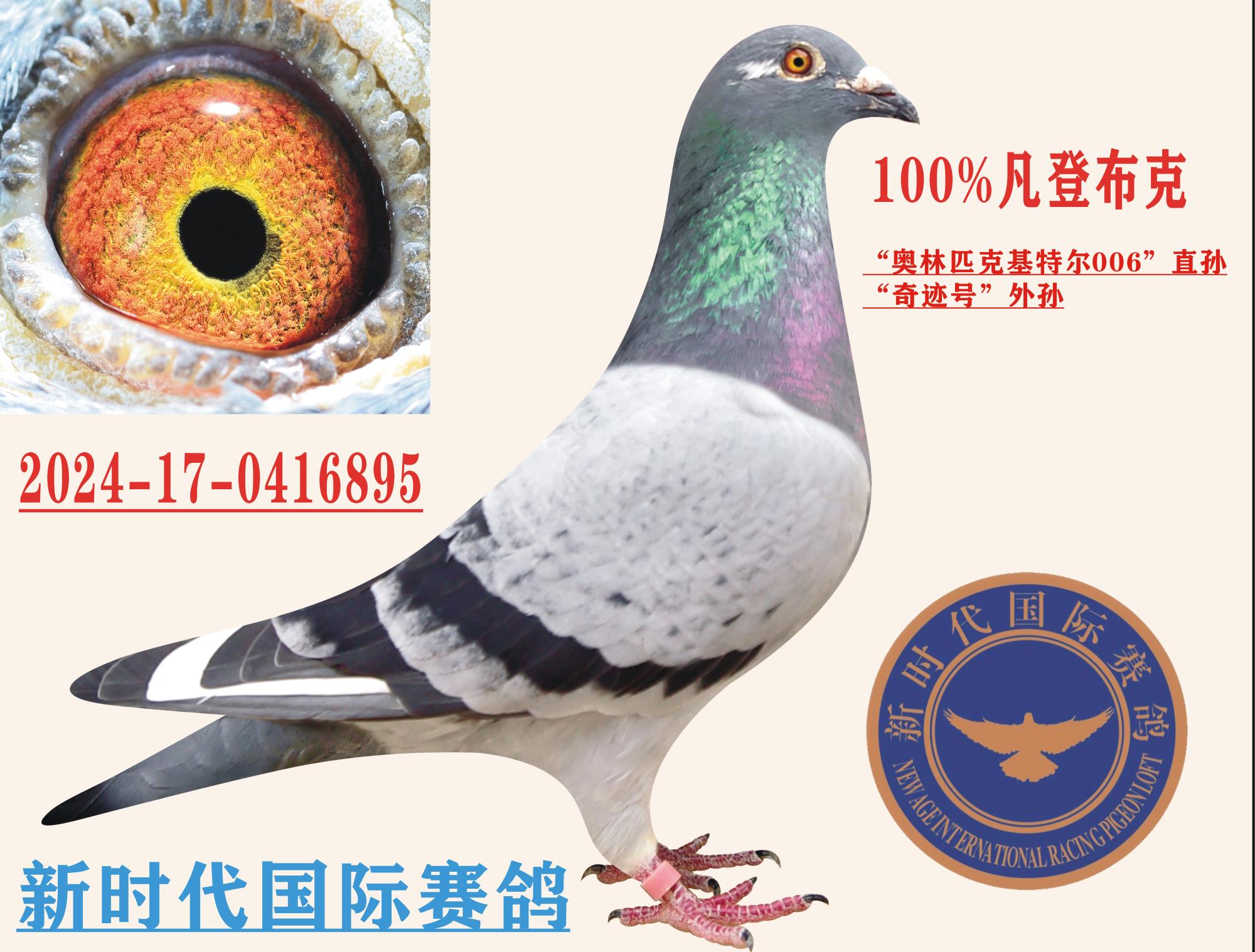 ����ƥ�˻��ض�006ֱ�� .�漣������