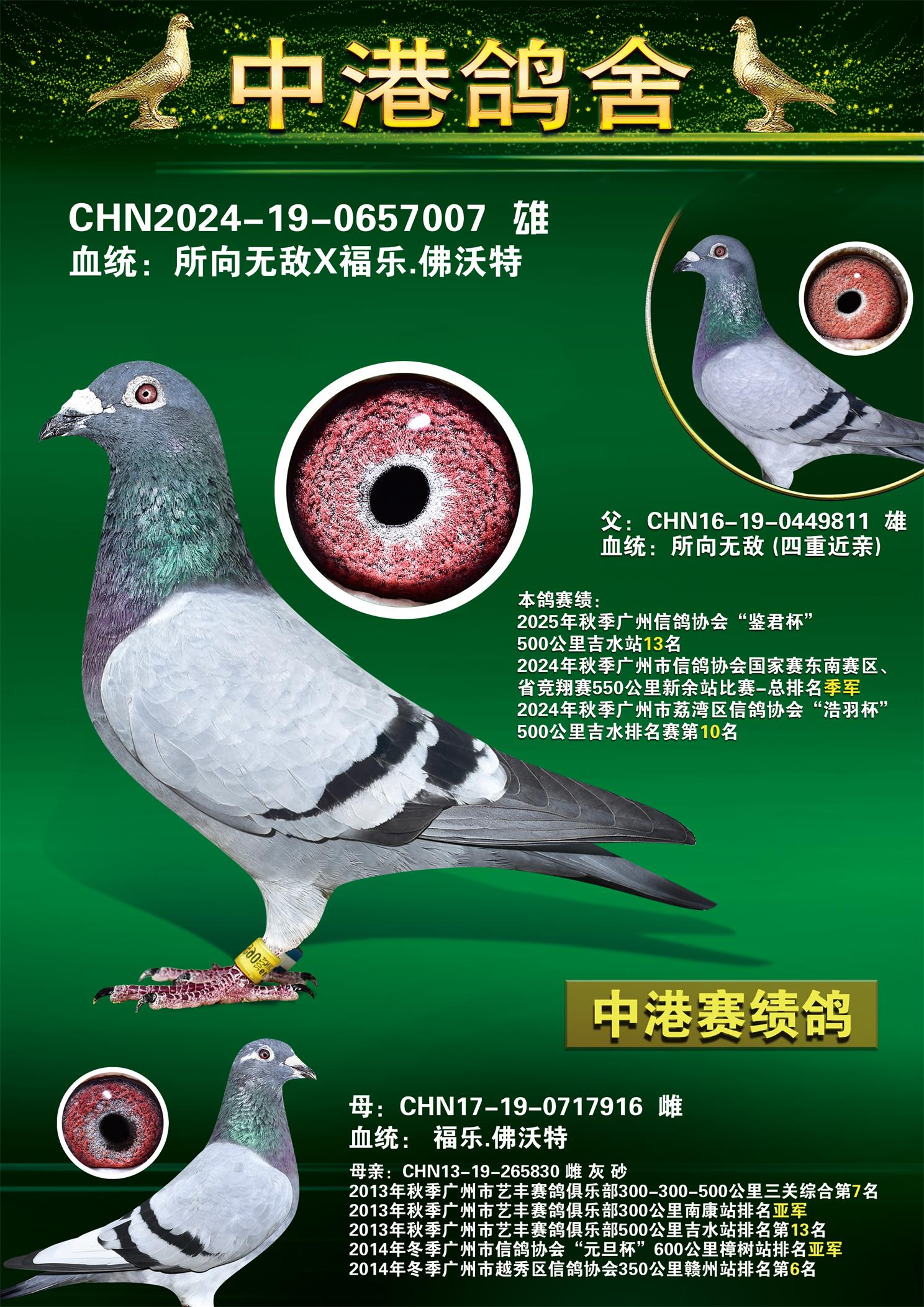 24���＾550��������վ����