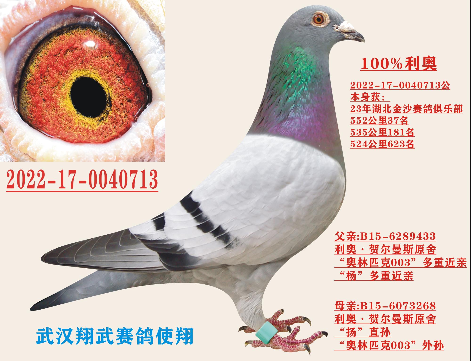 ����-������ɳ���ֲ�552����37��