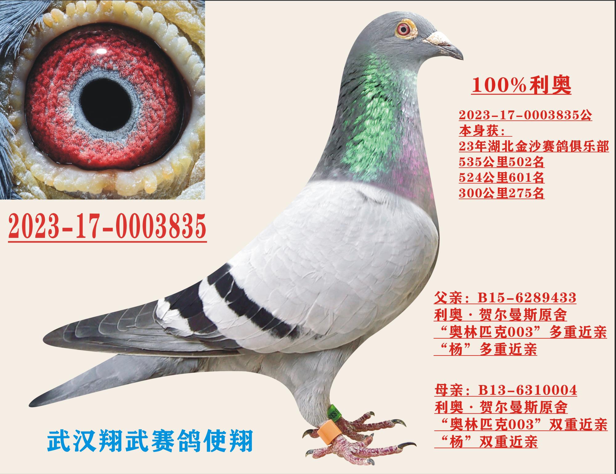 ����-535.524.300����ɼ���