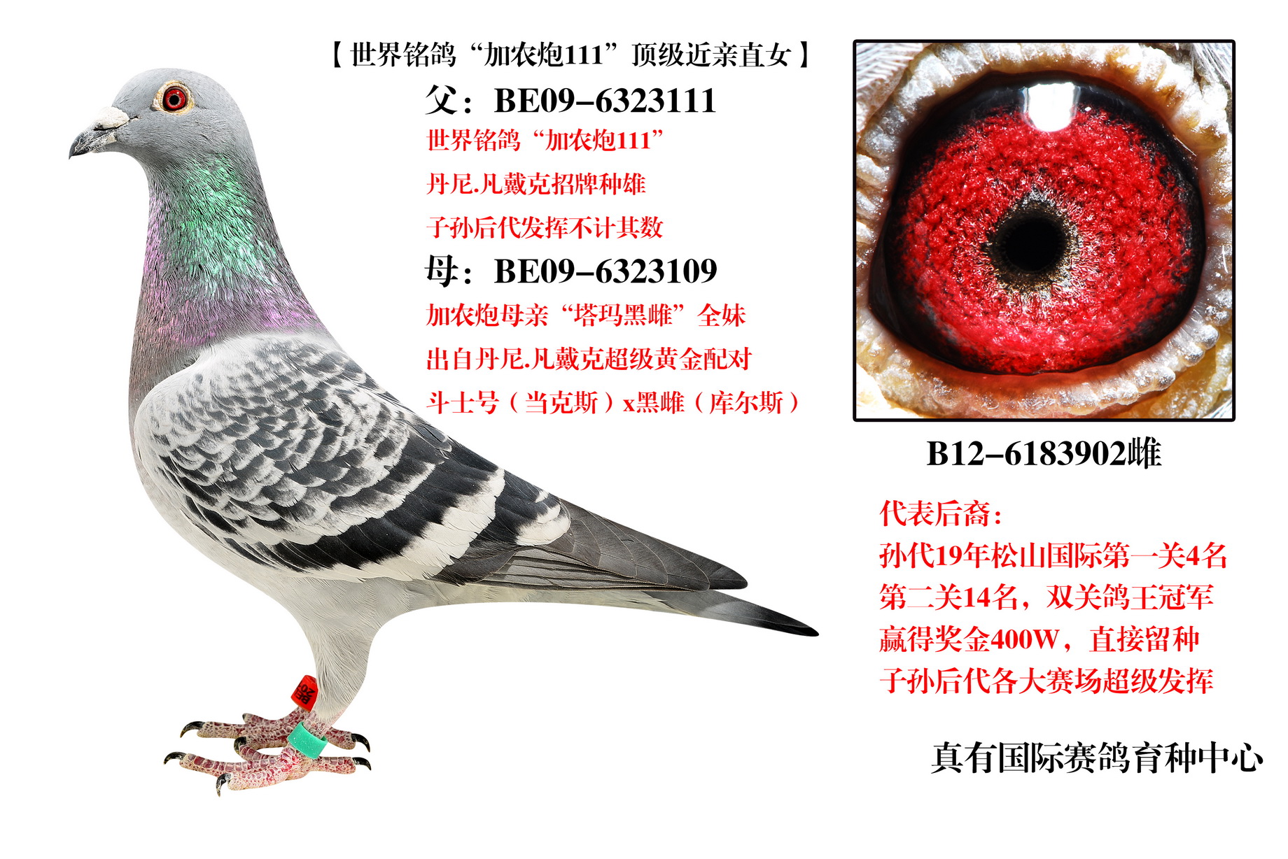 ũ111ֱŮ-ĸ902