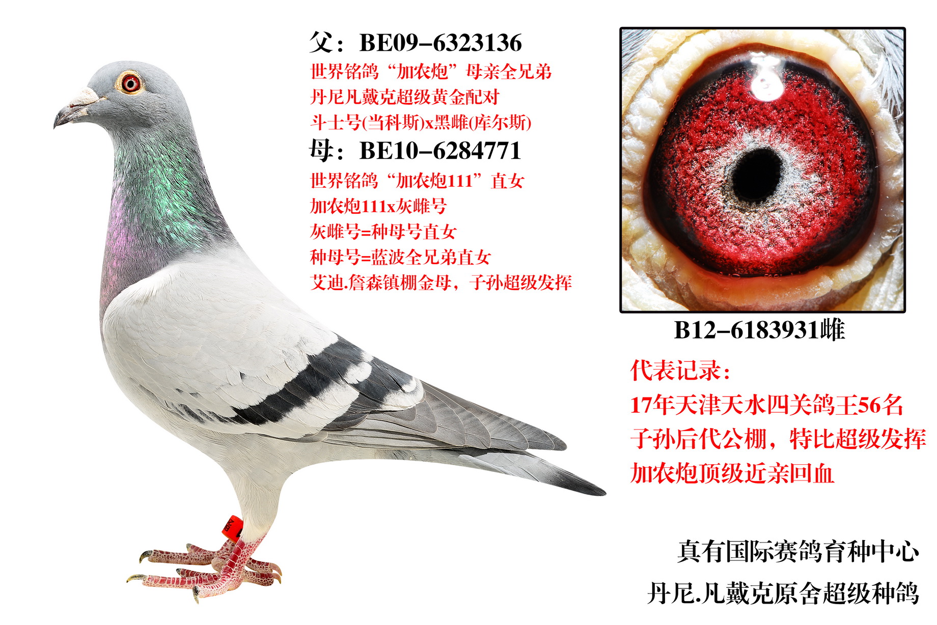 ĸ931-ũ111
