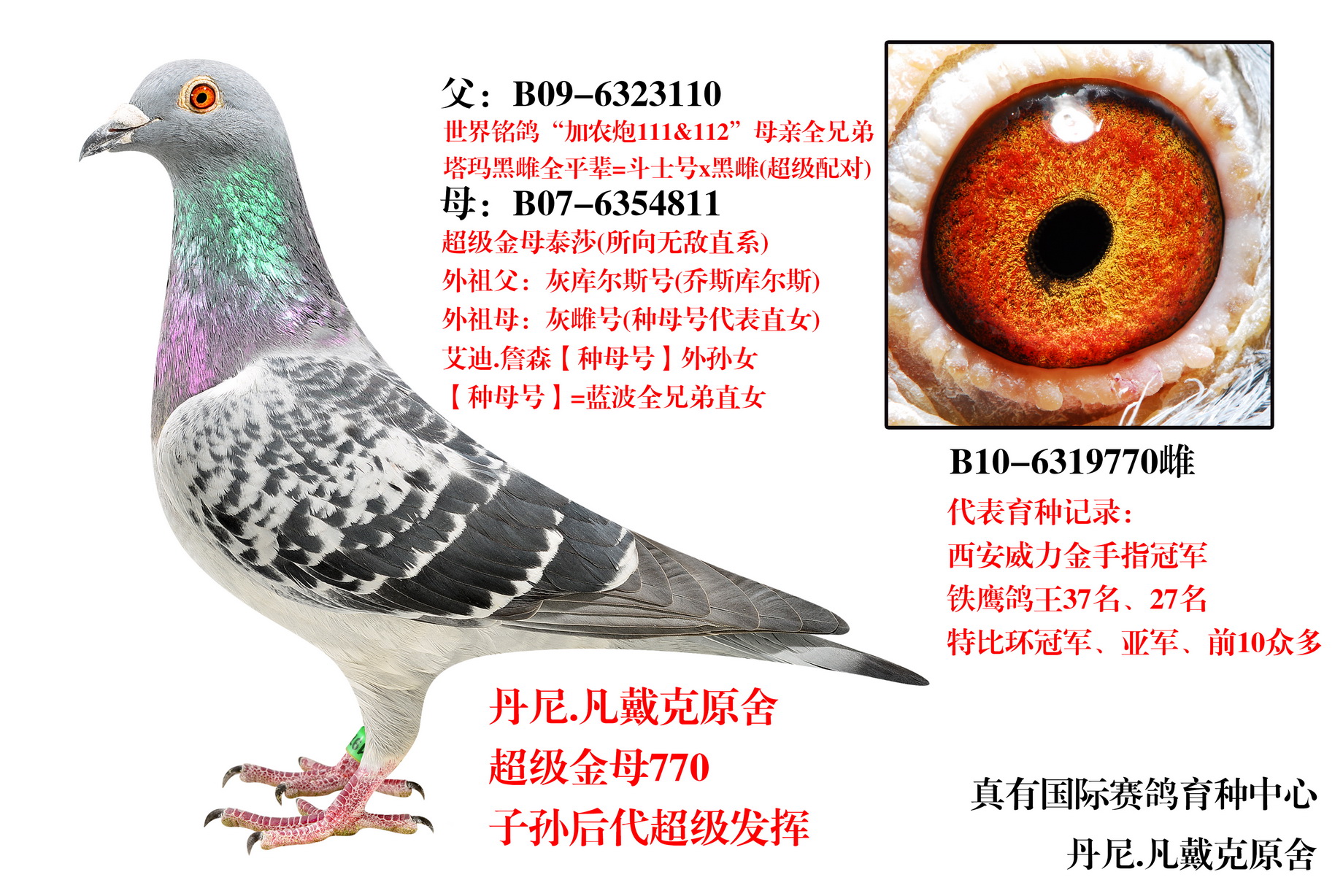 ĸ770-ũx޵