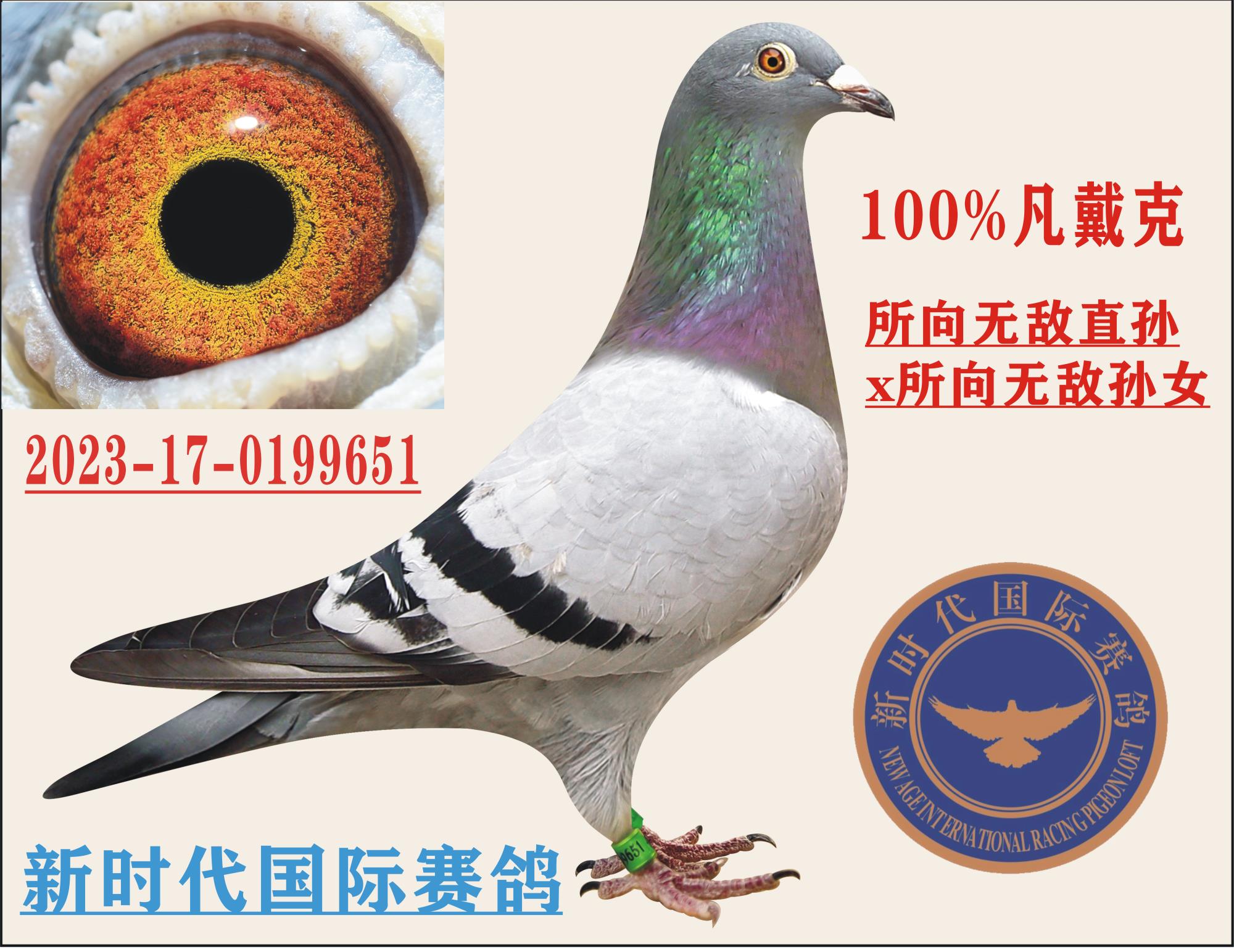 �������޵С����� x �������޵С�����Ů