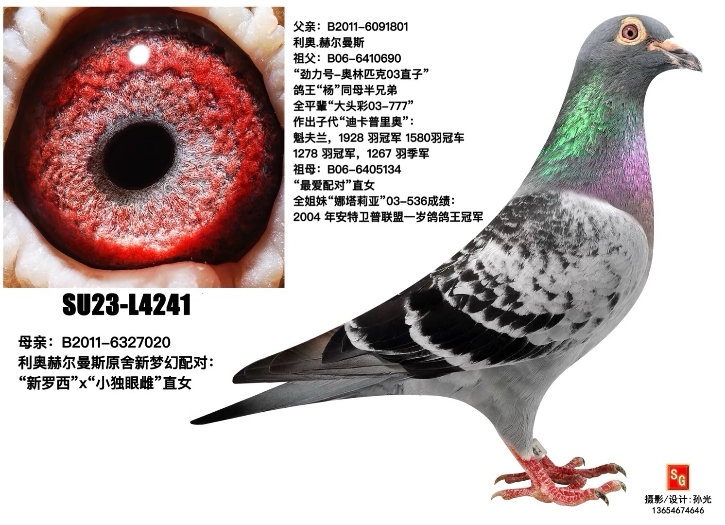 4241