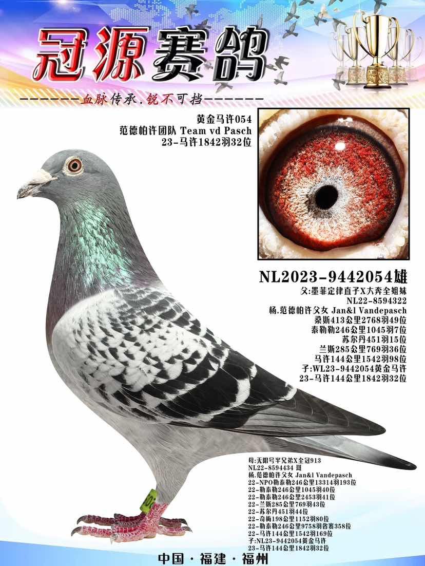 �S���R�S504