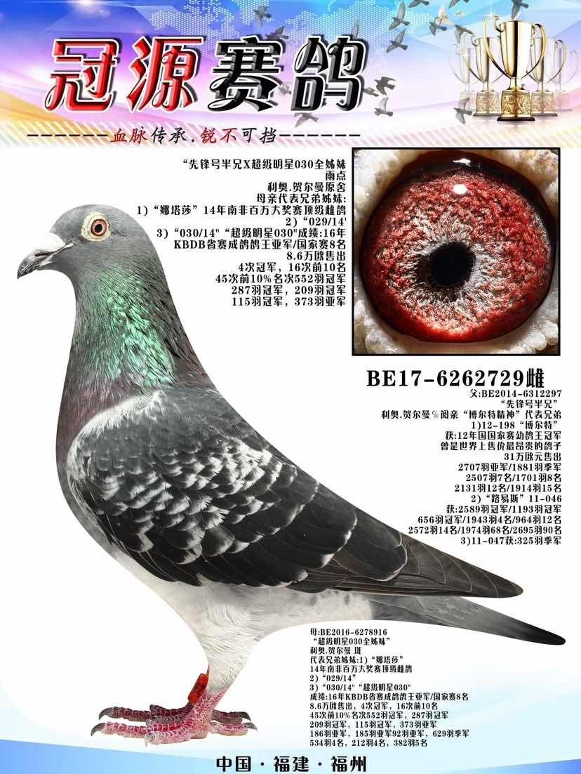 ����������030ȫֱ��ֱŮ��