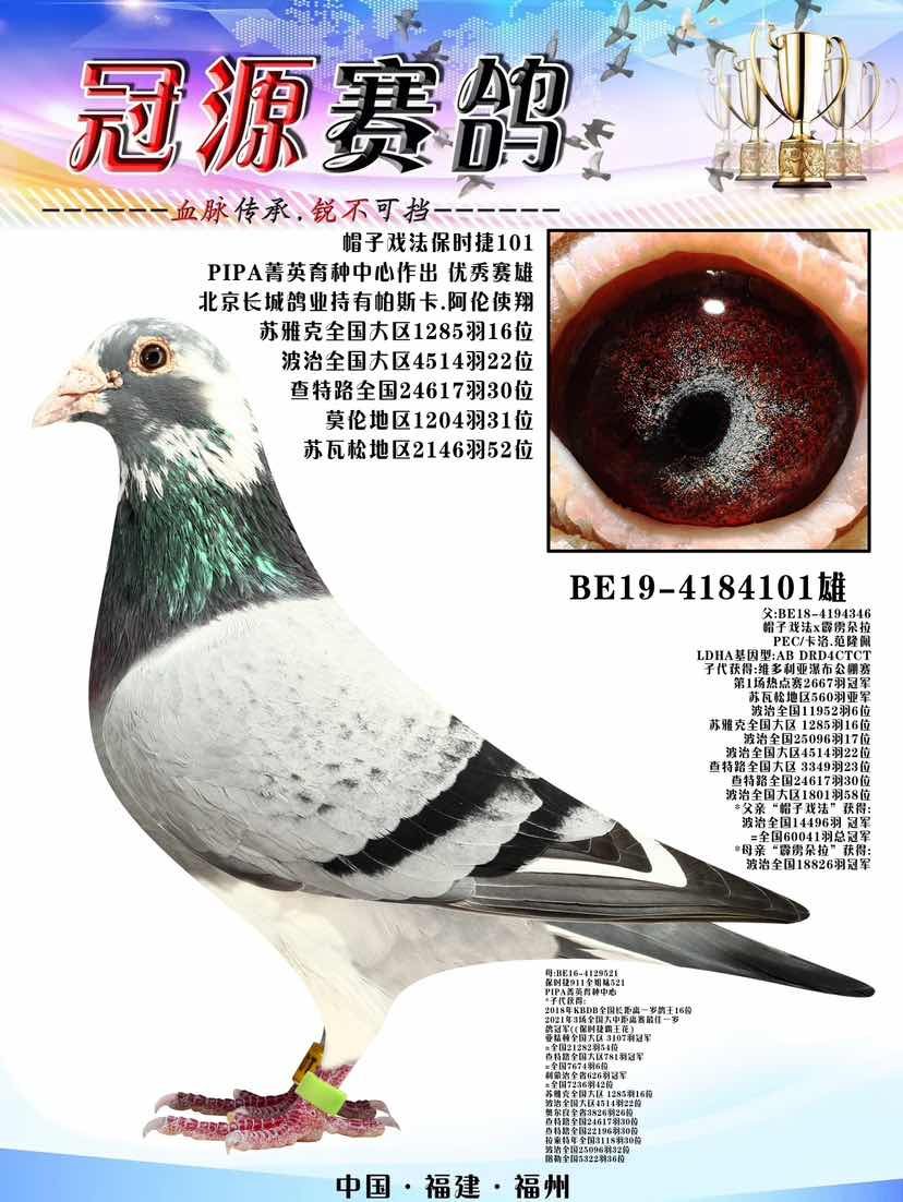 ��ʱ��911ȫ����521ֱ��