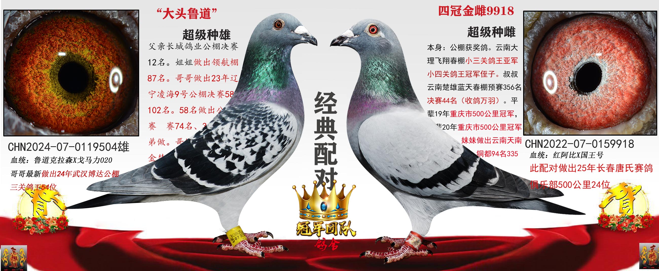 ��ͷ³��X�Ĺڽ��9918����λ��ĸ