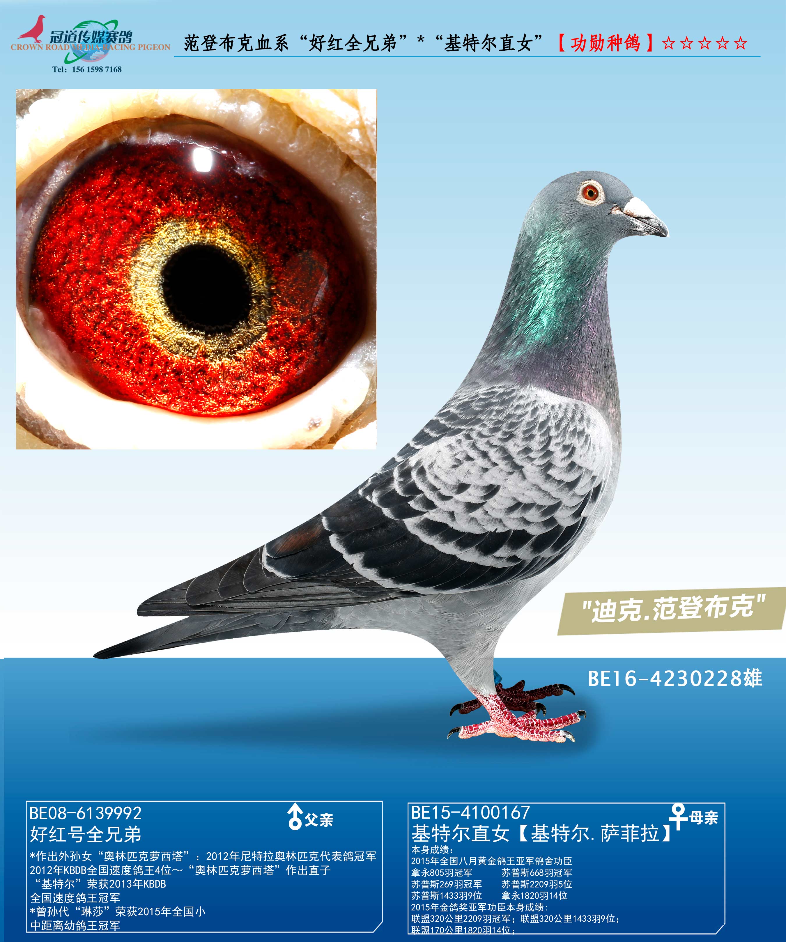 ǲѪϵúȫֵܡ*ضֱŮ